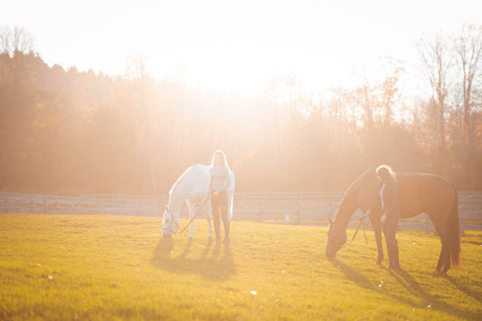 hoof health horse equestrian purvida healthy