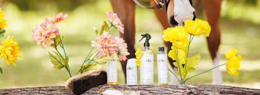 The Ultimate Spring Grooming Guide - How to Keep your Horse Healthy This Season