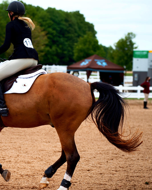 horse back rider owner of purvida healthy horse riding her horse finnegan