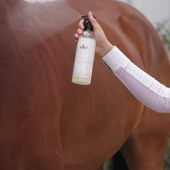 girl grooming horse with all in one spray from purvida healthy horse
