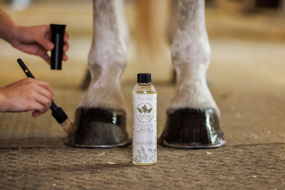 Purvida Polish - Natural Hoof Oil - Purvida Healthy Horse