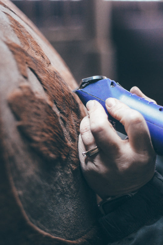 purvida Healthy Horse how to clip your horse like a pro