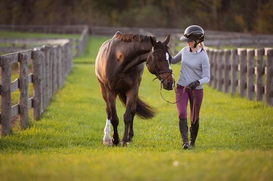 Your Comprehensive Guide to Navigating Mud Season with your Horse