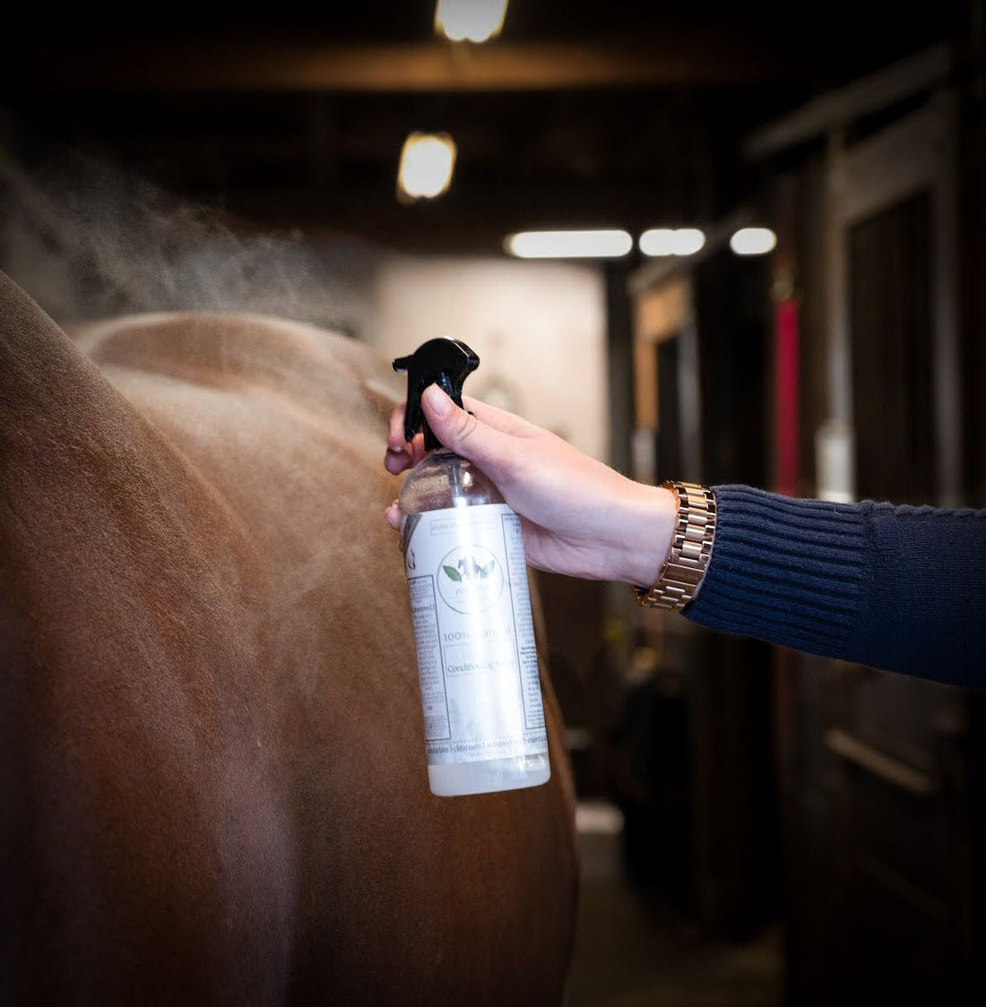 Ask The Expert: The Ultimate Guide to Your Horse's Summer Skin Issues