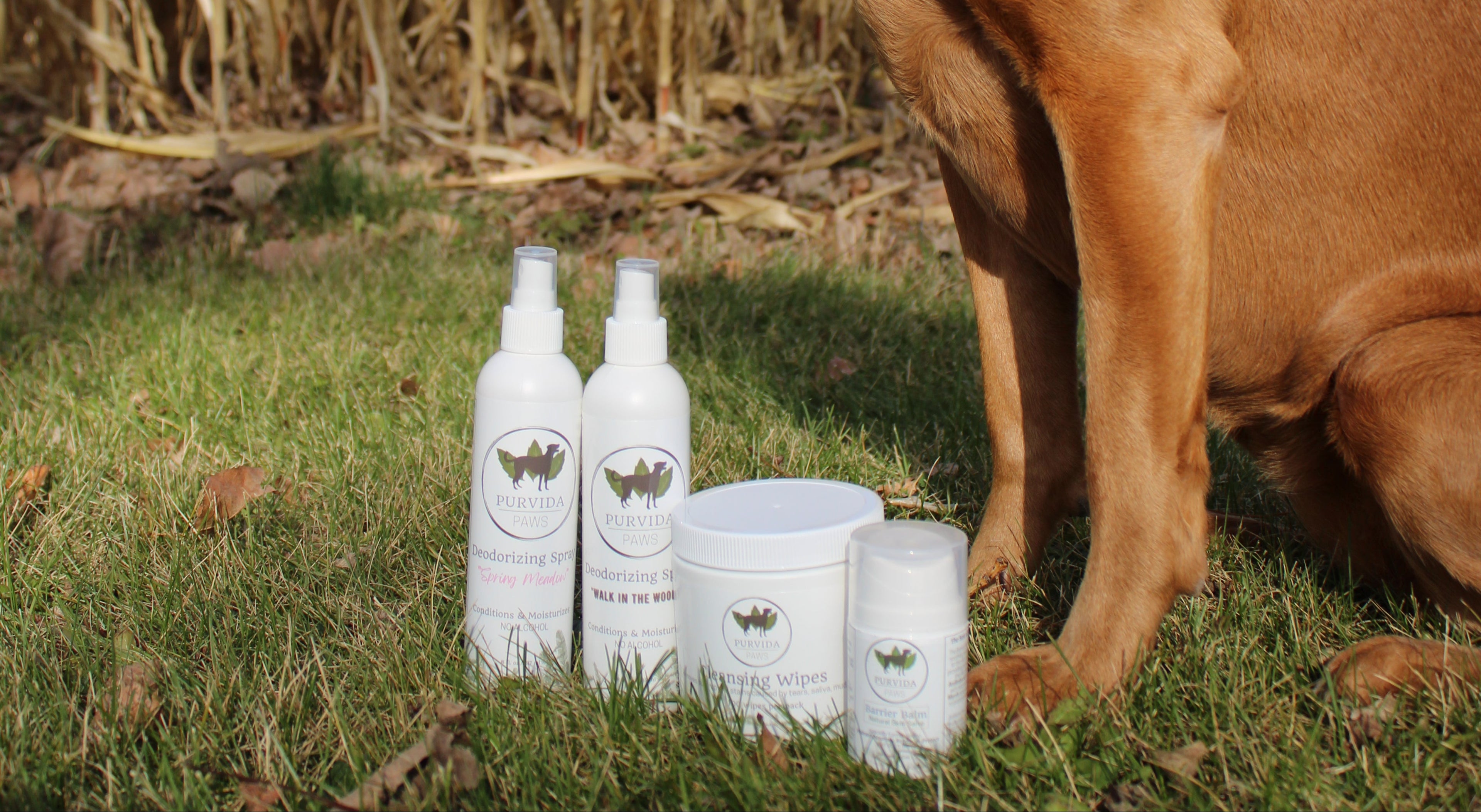 purvida paws natural grooming products for dogs