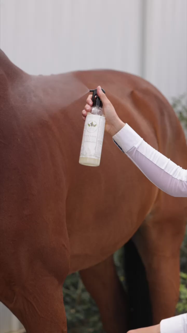 girl grooming horse with all in one spray from purvida healthy horse