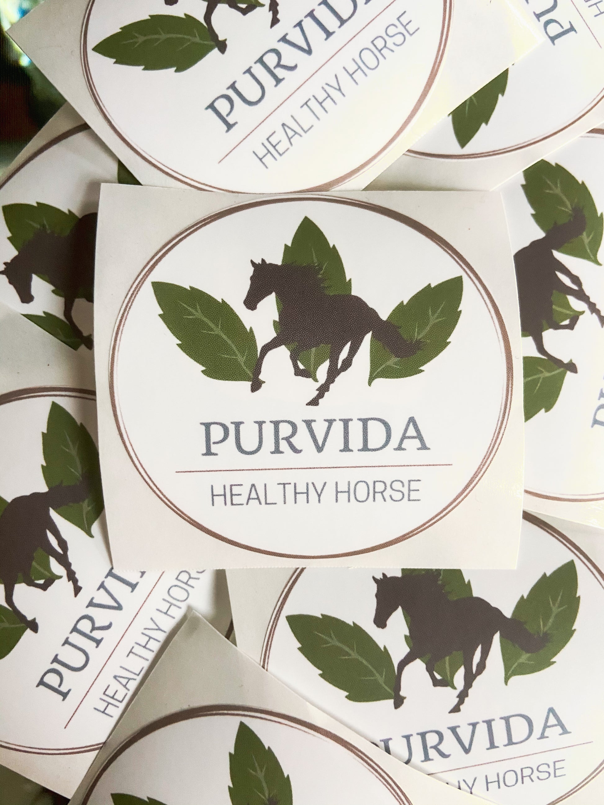 Team Purvida Sticker - Purvida Healthy Horse