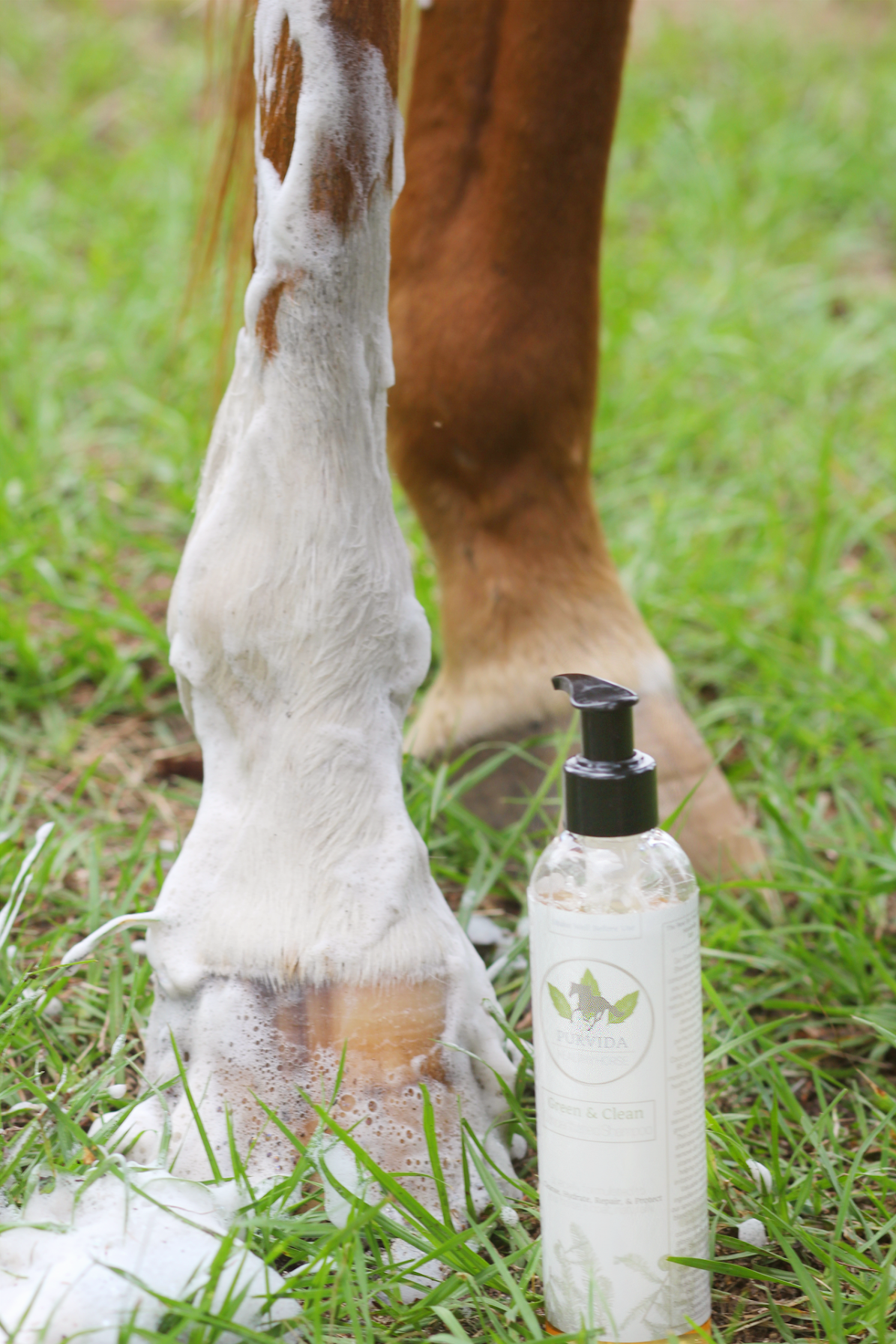 natural horse shampoo. plant based. anti fungal shampoo hydrating 