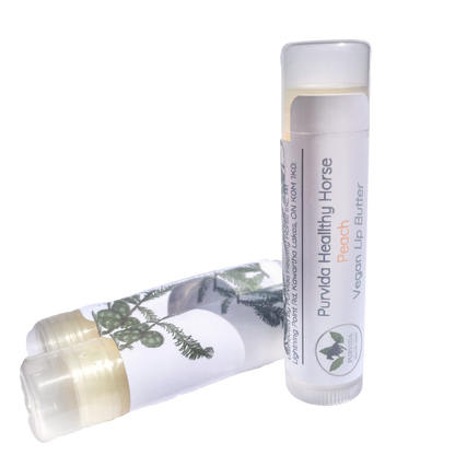 Vegan Lip Balm - Purvida Healthy Horse